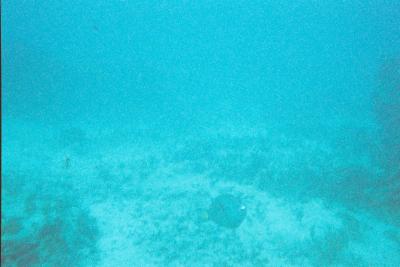 020_17A.JPG
