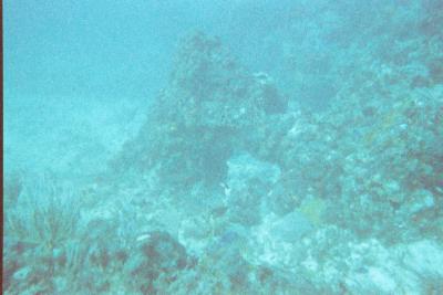 021_18A.JPG