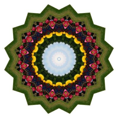 Kaleidoscopes Created from Photos