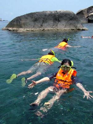 u13/paul_h/medium/28917159.thia_skran459br.jpg