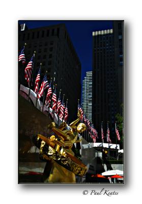 IMG_1701.jpg