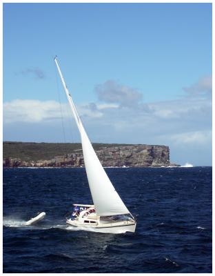Manly Ferry