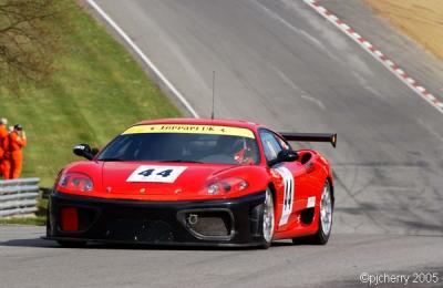 dsc_3879_std.jpg