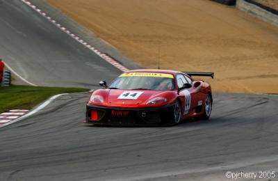 dsc_4828_std.jpg