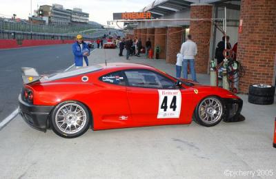 dsc_4977_std.jpg