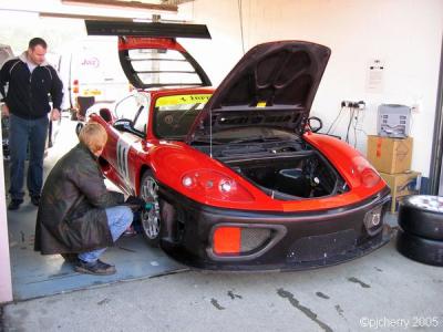 img_4877_std.jpg