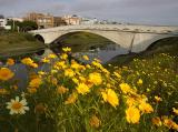 Venice Bridge Variation 2