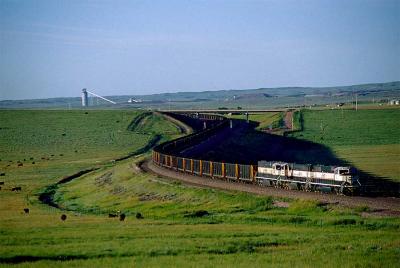 u13/paulv99k/medium/38604928.BNSF9531.jpg