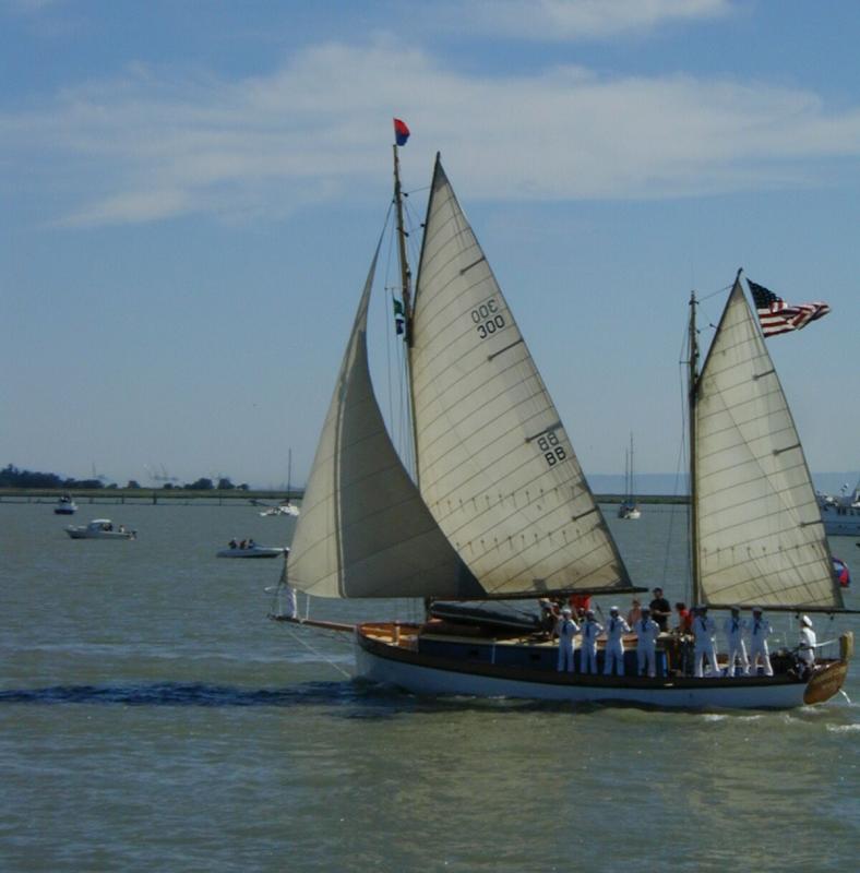 P8080122a.jpg