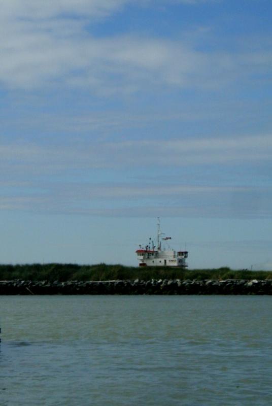 P8090027a.jpg