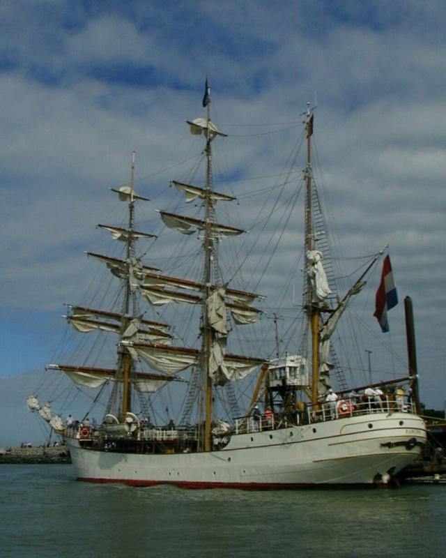 P8090062a.jpg