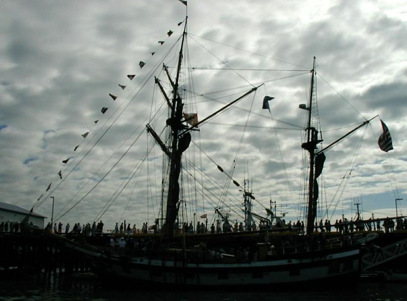 P8090080a.jpg