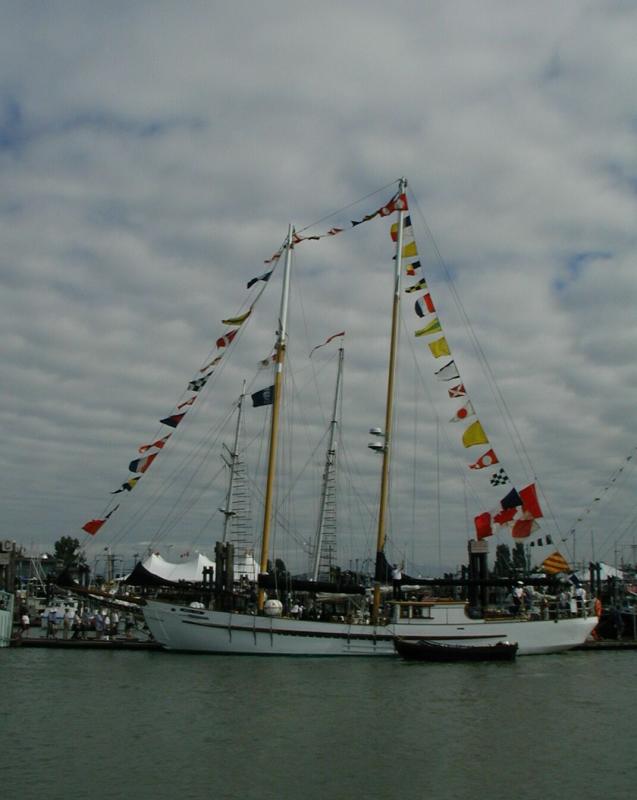 P8090097a.jpg