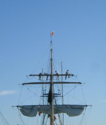 P8080168a.jpg