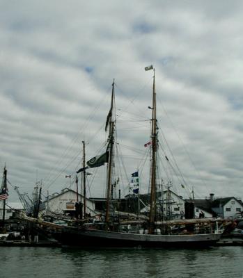 P8090045a.jpg