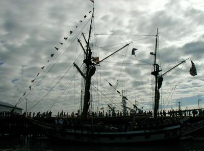 P8090080a.jpg