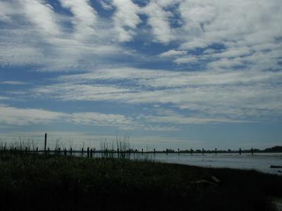 P8090114.jpg