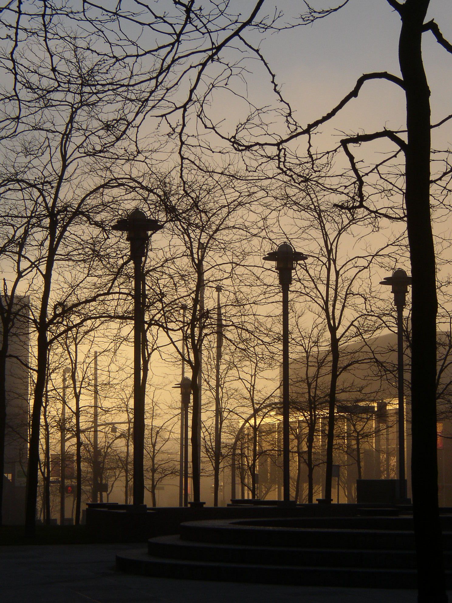 P1180043.jpg