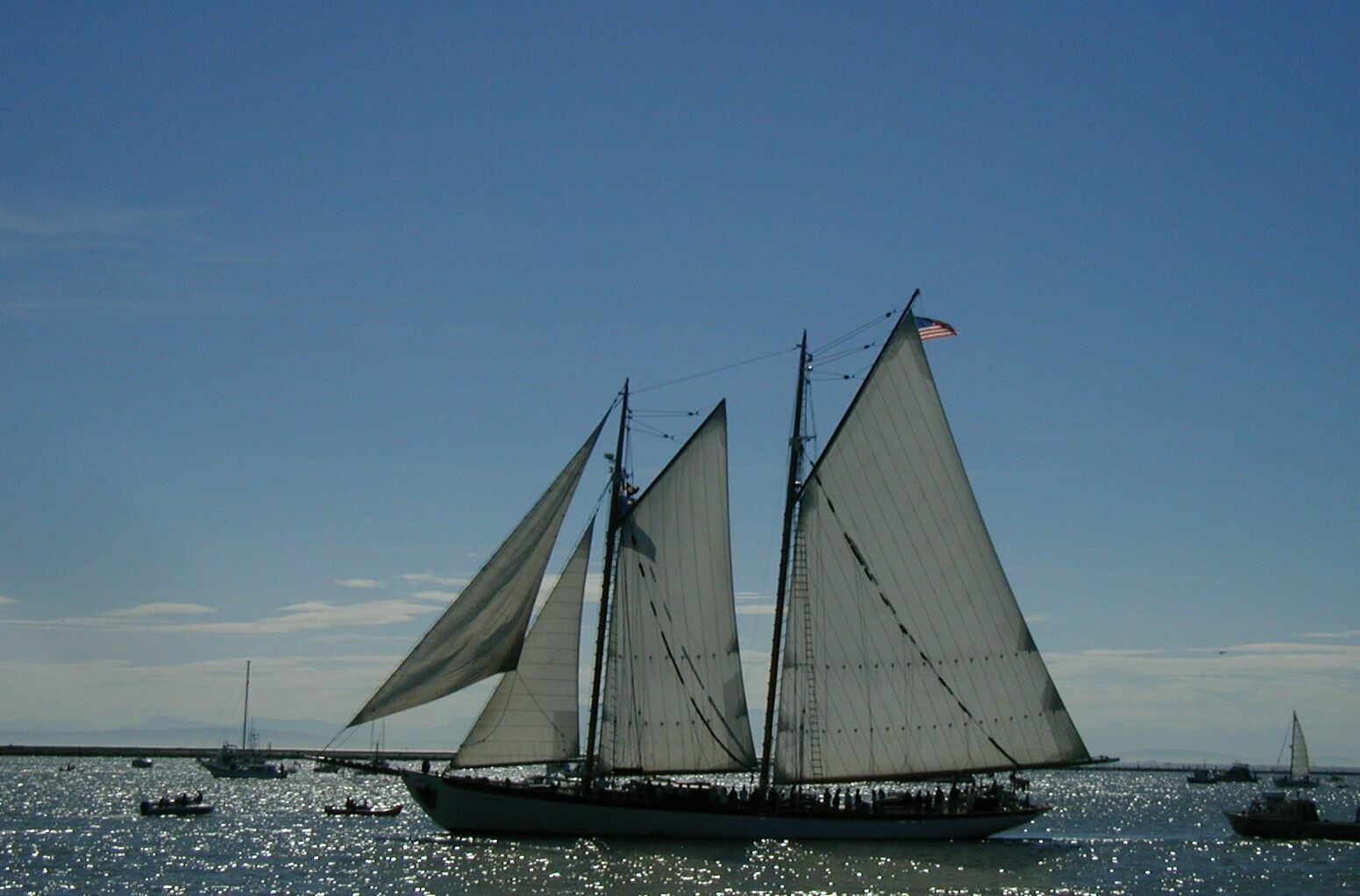 P8080140a.jpg