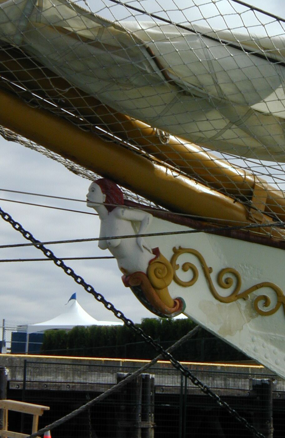P8090068a.jpg