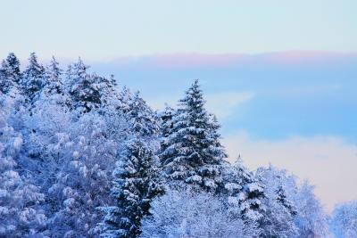Twilight I