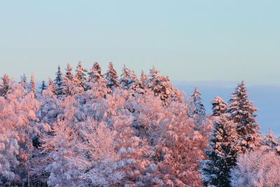 Sunset in Winter