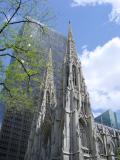 St. Patricks Cathedral