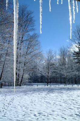 DSCF0952.jpg