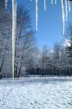 DSCF0952.jpg