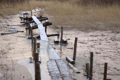 Rough trail