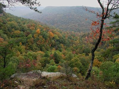 Stone Door Overlook, Wide