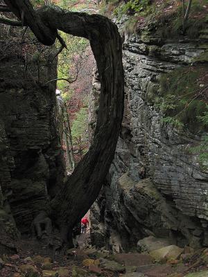 The Great Stone Door