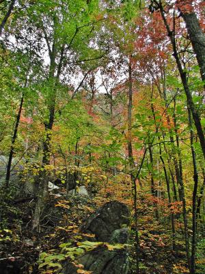 Lots of colors