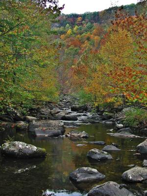 Big Creek Gulf