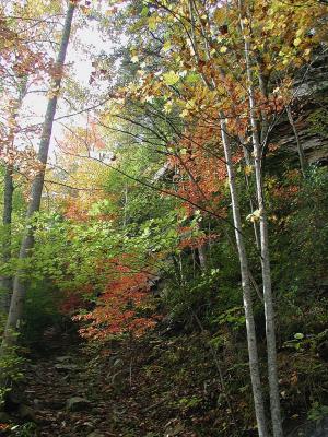 ranger_falls__102702