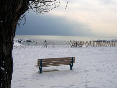 Bench at the Beaches