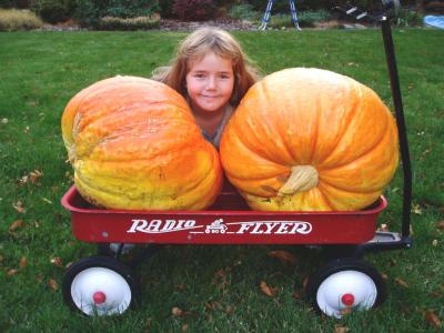 2004 October Meagan Pumpkin Head.jpg
