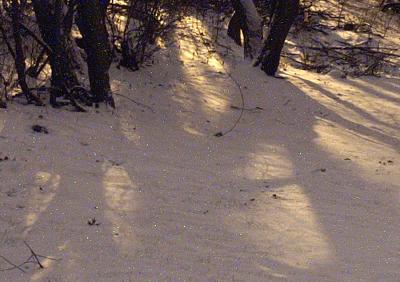 6 min 100 Crop-2476.jpg