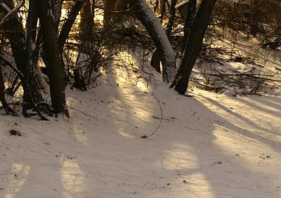 1-5 min 100-Crop2478.jpg