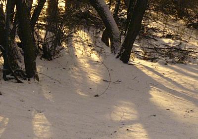 2 min 100 Crop2477.jpg