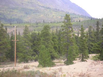 Yukon1020.jpg