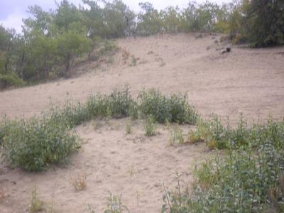 Yukon1040.jpg