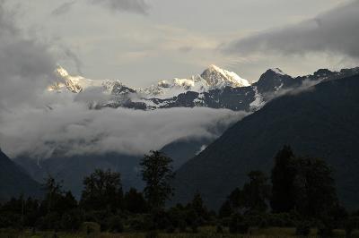 u13/philinnz/medium/38561394.DSC_7306a800.jpg