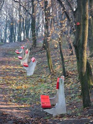 Park benches at Gellrt Hill