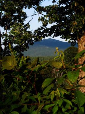 Monadanock from Berry Field