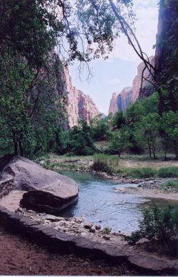 from a friend.. nice composition..foreground..  zion