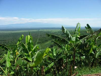 Ishaka-Mbarara road- Nr Kishunju Hill.jpg