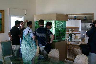 Jeff's Aquarium Tour