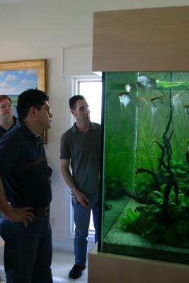Jeff's Aquarium Tour
