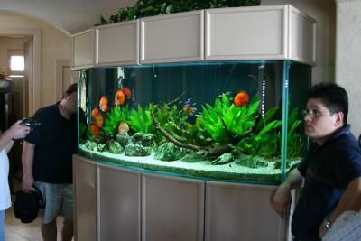 Jeff's Aquarium Tour